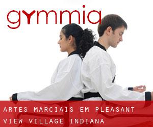 Artes marciais em Pleasant View Village (Indiana)