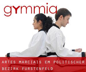Artes marciais em Politischer Bezirk Fürstenfeld