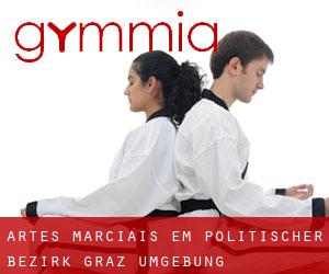 Artes marciais em Politischer Bezirk Graz Umgebung