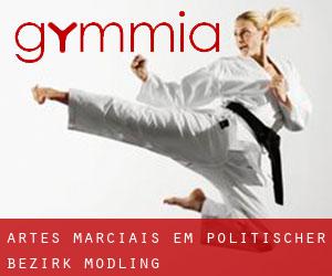 Artes marciais em Politischer Bezirk Mödling