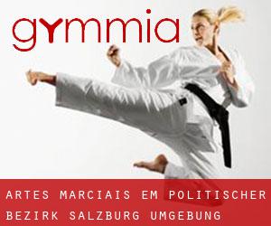 Artes marciais em Politischer Bezirk Salzburg Umgebung