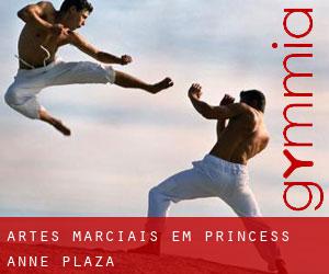 Artes marciais em Princess Anne Plaza