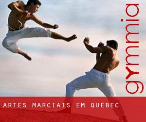 Artes marciais em Quebec