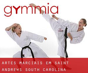 Artes marciais em Saint Andrews (South Carolina)