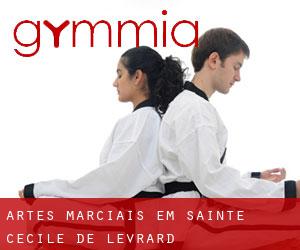 Artes marciais em Sainte-Cécile-de-Lévrard