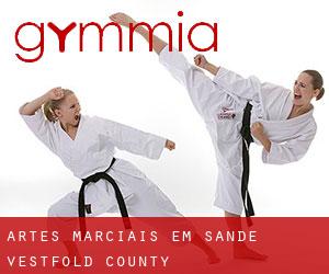 Artes marciais em Sande (Vestfold county)