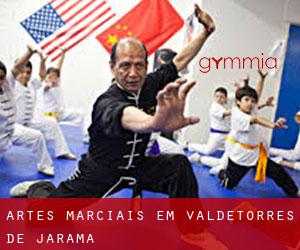 Artes marciais em Valdetorres de Jarama