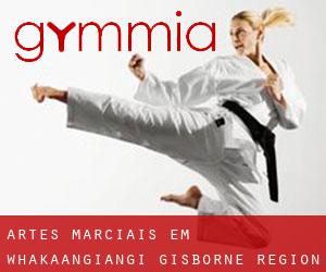 Artes marciais em Whakaangiangi (Gisborne Region)
