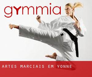 Artes marciais em Yonne