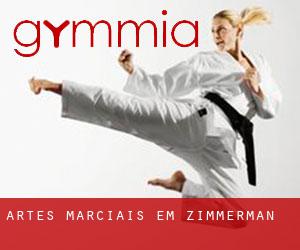Artes marciais em Zimmerman