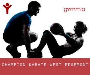 Champion Karate West (Edgemont)