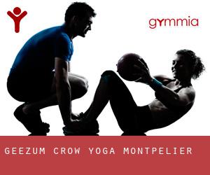 Geezum Crow Yoga (Montpelier)