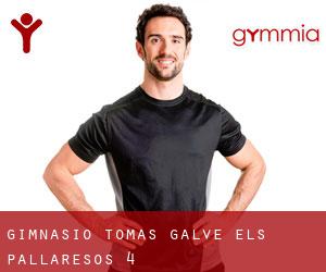 Gimnasio Tomas Galve (els Pallaresos) #4