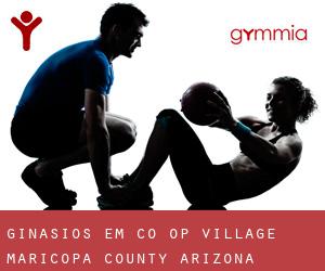 ginásios em Co-op Village (Maricopa County, Arizona)