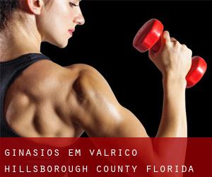 ginásios em Valrico (Hillsborough County, Florida)
