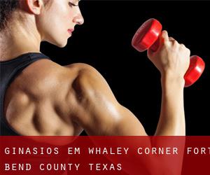 ginásios em Whaley Corner (Fort Bend County, Texas)