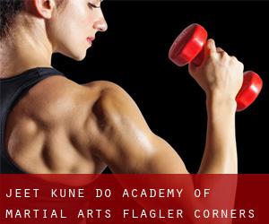 Jeet Kune Do Academy Of Martial Arts (Flagler Corners)