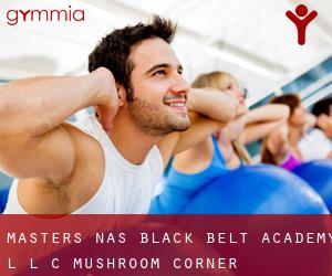 Masters Na's Black Belt Academy L L C (Mushroom Corner)