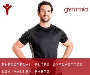Phenomenal Flips Gymnastics USA (Valley Farms)