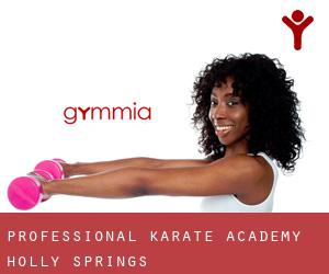 Professional Karate Academy (Holly Springs)