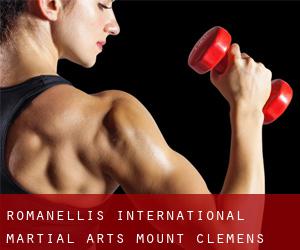 Romanelli's International Martial Arts (Mount Clemens)
