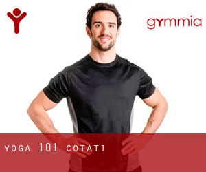 Yoga 101 (Cotati)